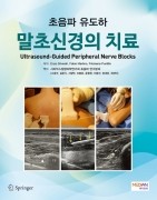 초음파 유도하 말초신경의 치료 (Ultrasound-Guided Peripheral Nerve Blocks)