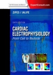 Cardiac Electrophysiology: From Cell to Bedside, 6/e