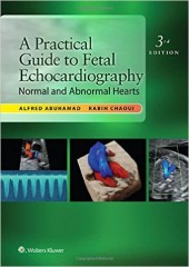 A Practical Guide to Fetal Echocardiography: Normal and Abnormal Hearts, 3/e