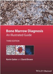 Bone Marrow Diagnosis: An Illustrated Guide, 3/e