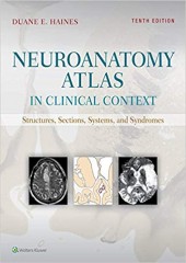 Neuroanatomy Atlas in Clinical Context: Structures, Sections, Systems, and Syndromes, 10/e