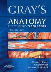 Gray's Anatomy for Students Flash Cards, 3/e