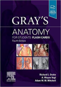 Gray`s Anatomy for Students Flash Cards, 4/e