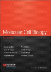 Molecular Cell Biology, 7/e (IE)