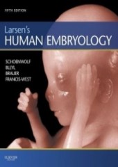 Larsen's Human Embryology, 5/e