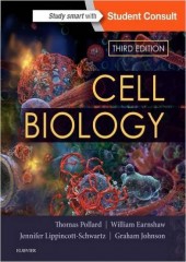 Cell Biology , 3/e 
