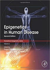 Epigenetics in Human Disease, Volume 6, 2/e