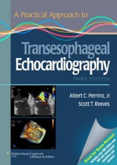 A Practical Approach to Transesophageal Echocardiography, 3/e