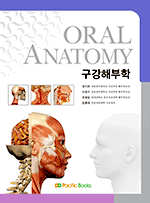 구강해부학 Oral Anatomy